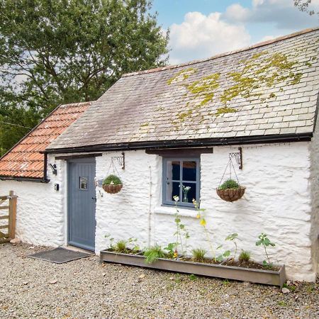 Love Cottage Combe Martin Exteriör bild